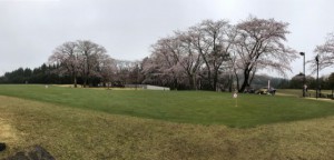 桜の宮ゴルフ倶楽部1